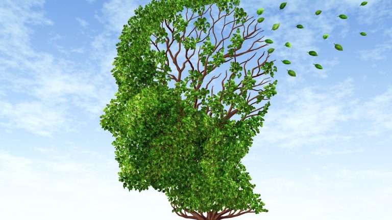 Life-style selections may help hold reminiscence exercised, functioning