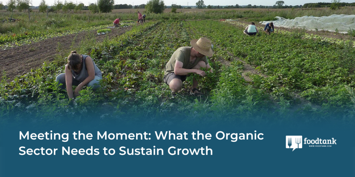 What the Natural Sector Must Maintain Development – Meals Tank