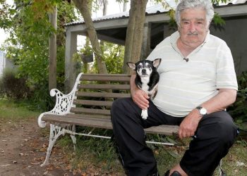 José “Pepe” ‘s Final spherical Mujica in his tractor and the will to relaxation along with his bitch endlessly