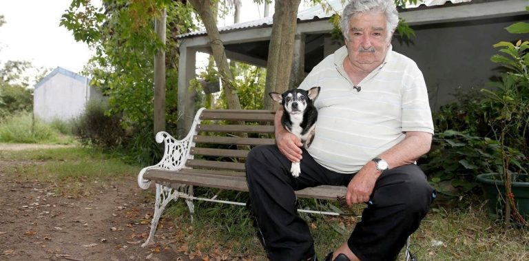 José “Pepe” ‘s Final spherical Mujica in his tractor and the will to relaxation along with his bitch endlessly