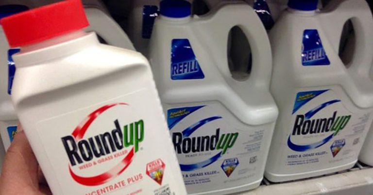Relocations: New proof printed of potential well being dangers of glyphosate – Ashland Information