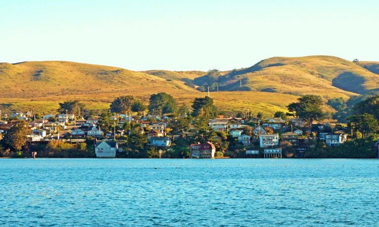 Take a pet-friendly foodie day journey to Bodega Bay