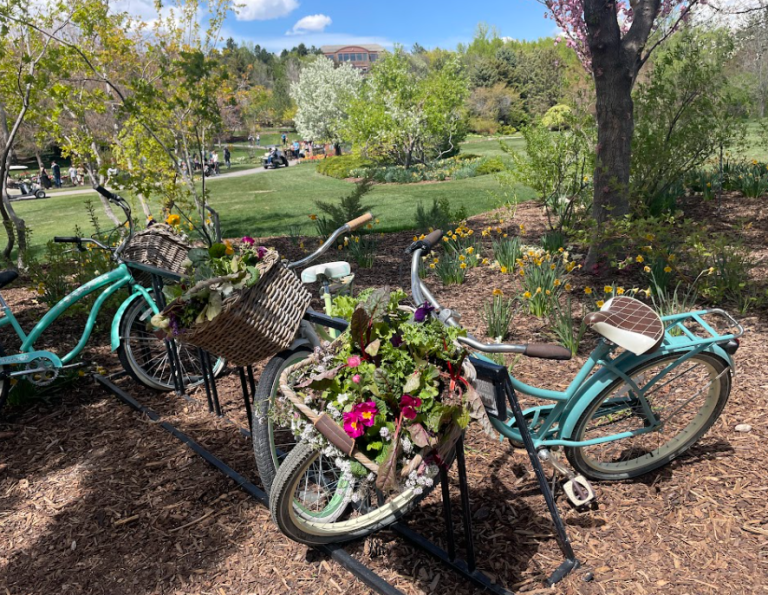 Behind Blooms: How expertise feeds the neatest backyard competition in Utah