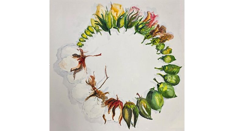 Cotton Road Gallery will host ‘Seed to Vogue’ – The Andalusia Star-Information