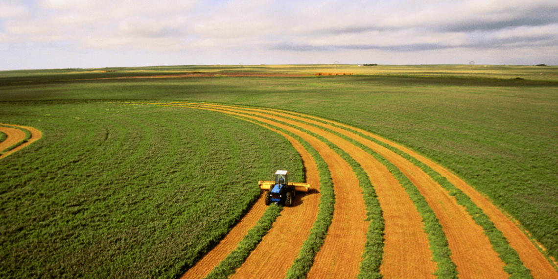 Just one nation on the earth produces all of the meals it wants, examine finds