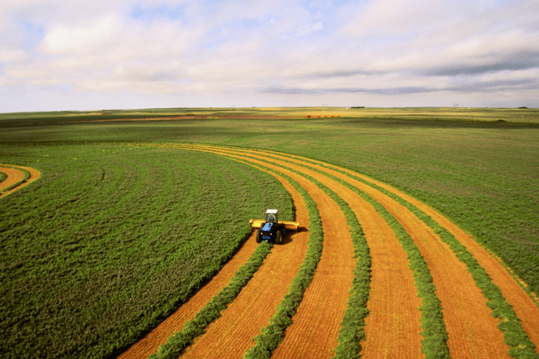 Just one nation on the earth produces all of the meals it wants, examine finds