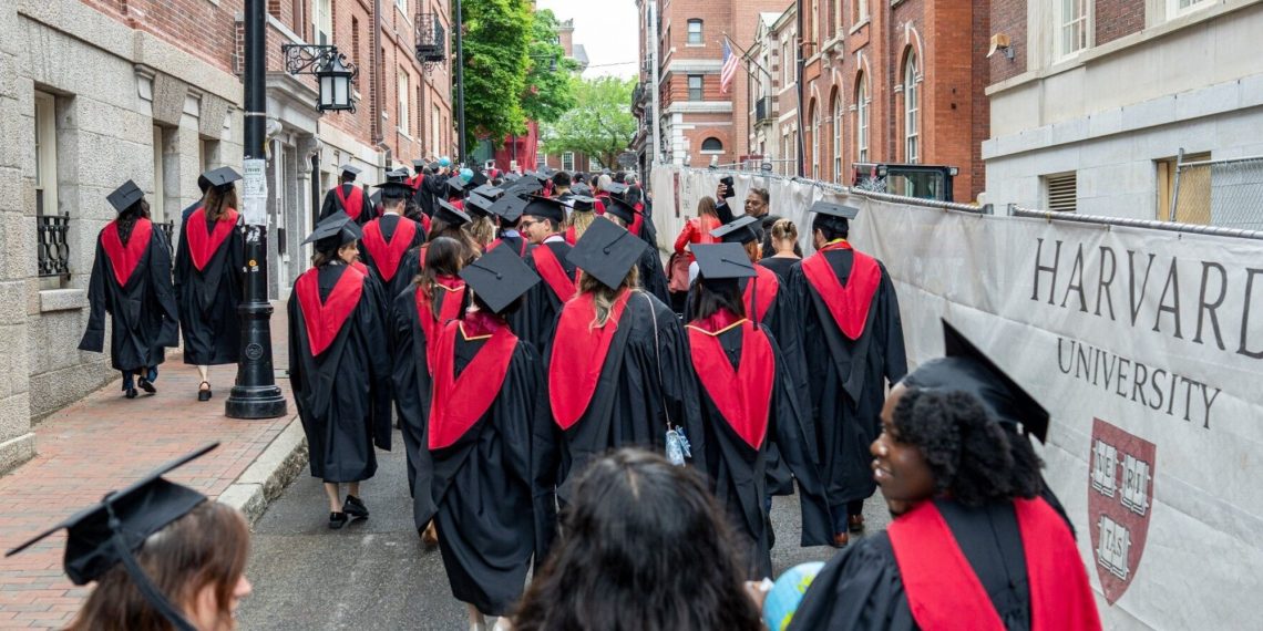 Germany affords Harvard College to create an “exile campus” in entrance of Donald Trump’s offensive