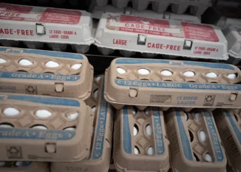 Grocery inflation loses steam in April