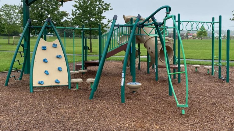 Higher Allen Township desires households to stand up and get lively this summer time