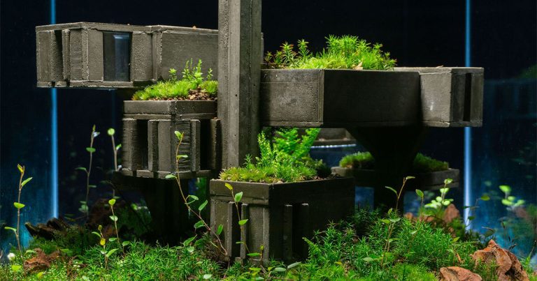Alessio Fava’s brutalist terraria reveals what occurs when nature recovers area