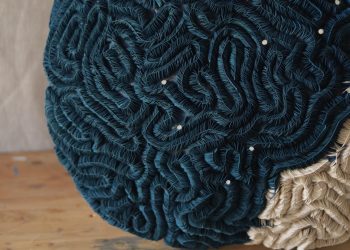 Recycled supplies draw consideration to ocean plastics in Ana Brecevic – Colossal ensembles