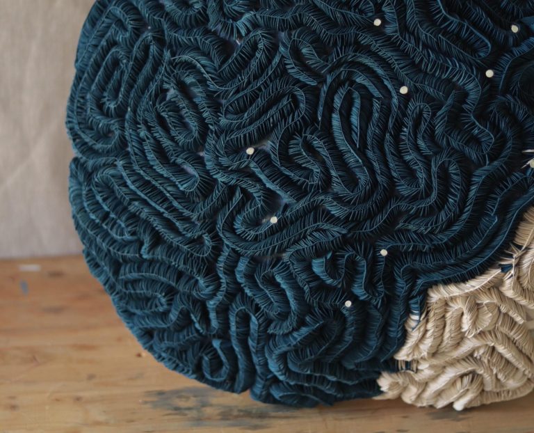 Recycled supplies draw consideration to ocean plastics in Ana Brecevic – Colossal ensembles