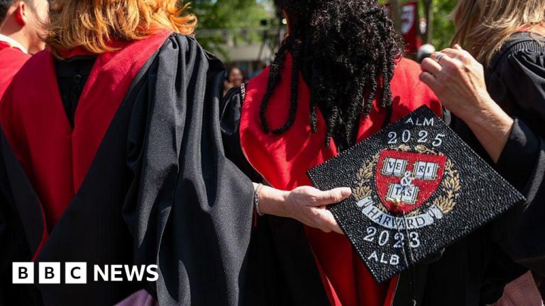 Will Trump’s detention be held for Harvard who enrolls overseas college students in courtroom?