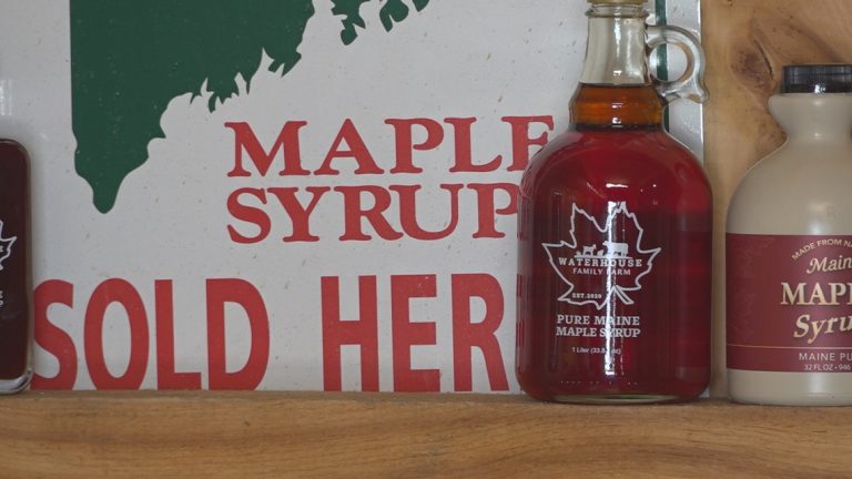 UNE components methods with researcher amid controversial well being claims over maple syrup