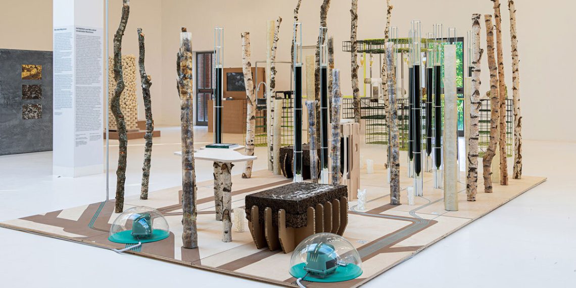 Ecologicstudio reimagates domesticity by microbial architectural set up