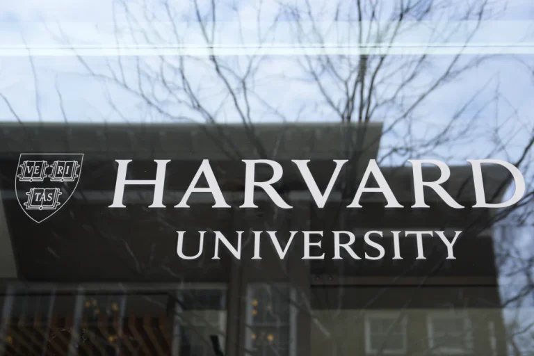 Federal choose blocks the immigration authorities to have the ability to revoke the authorized standing of worldwide college students