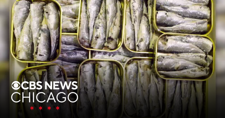 Tinned fish is the most popular new culinary development amid rising meals costs