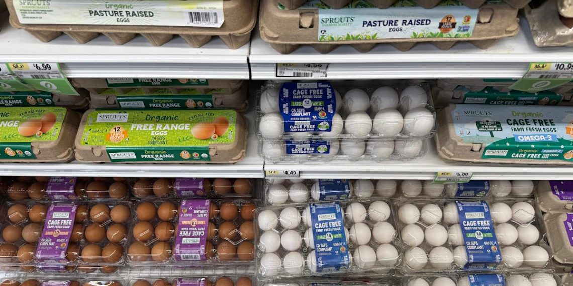 Egg costs tank in April as meals inflation declined essentially the most in 5 years