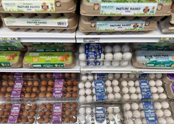 Egg costs tank in April as meals inflation declined essentially the most in 5 years