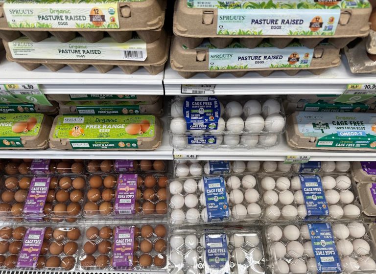 Egg costs tank in April as meals inflation declined essentially the most in 5 years