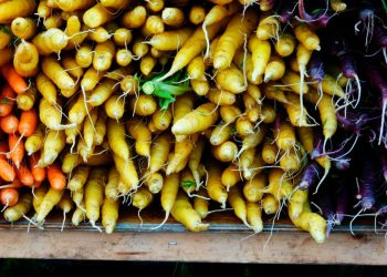 Farmers earn the authorized combat to revive climatic assets on federal websites