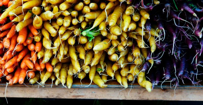 Farmers earn the authorized combat to revive climatic assets on federal websites