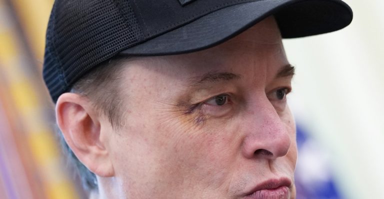 Elon Musk leaves DC with a black eye and a crushed repute