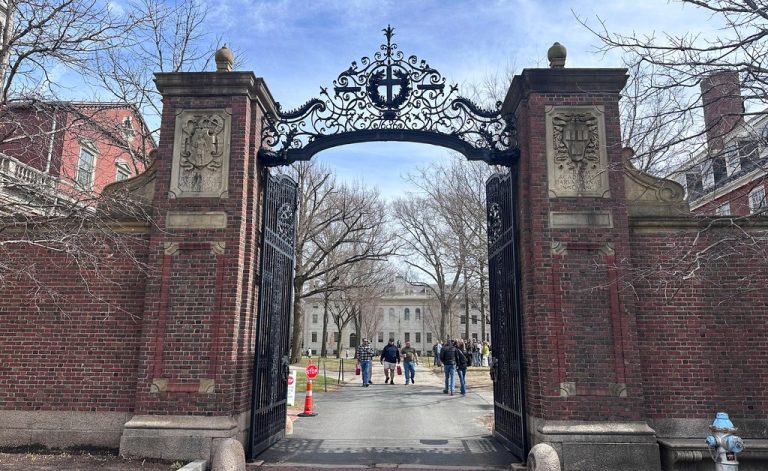 The decide blocks the efforts to exclude worldwide college students in Harvard