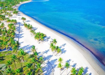 – WHIO TV 7 and WHIO Radio