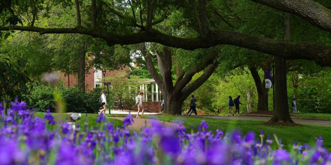 Furman makes Journey and Leisure’s ’25 Most Stunning’