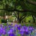Furman makes Journey and Leisure’s ’25 Most Stunning’