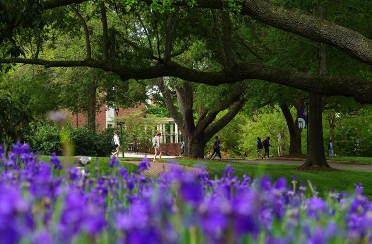 Furman makes Journey and Leisure’s ’25 Most Stunning’