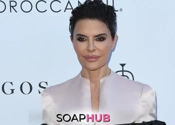 Lisa Rinna Paid Out Of Pocket For Glam Way of life On RHOBH