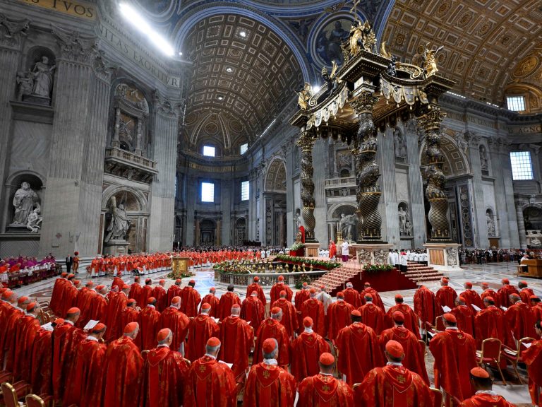 Who’re the 133 cardinals that choose the brand new Pope within the conclave