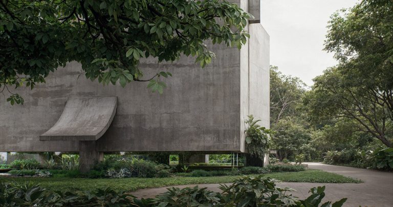 Leopold Banchini intends to drift “Neojiba rehearsal” in lush Brazil