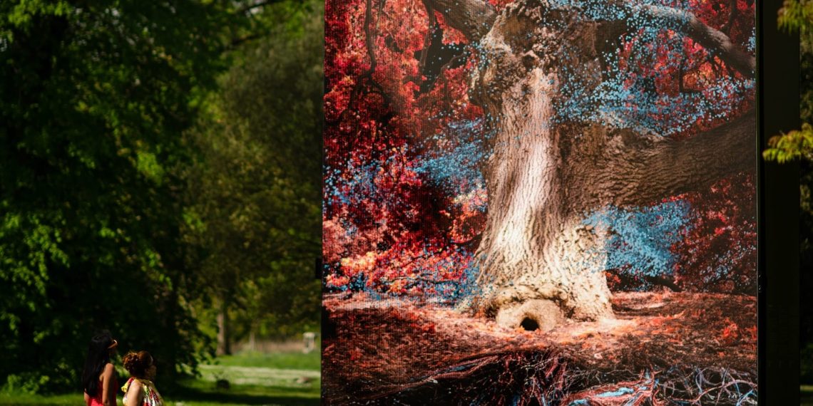 In “of oak”, an impressive tree from Kew Gardens receives an immersive “double digital”