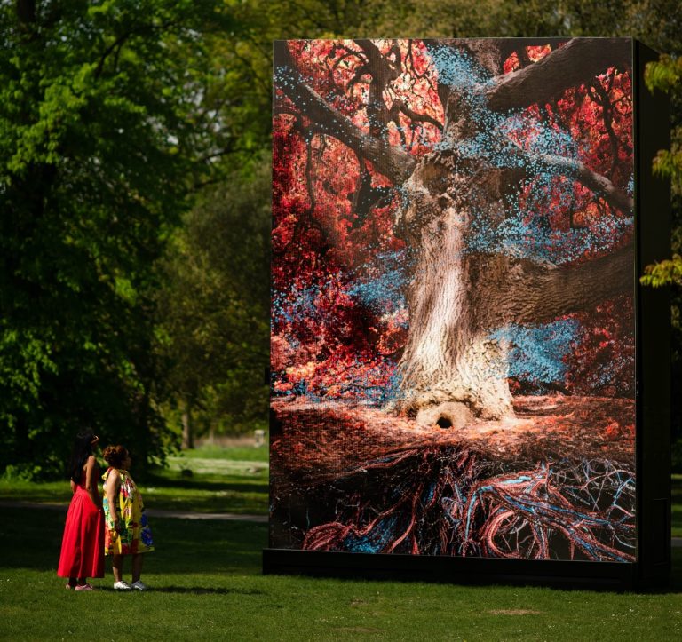 In “of oak”, an impressive tree from Kew Gardens receives an immersive “double digital”