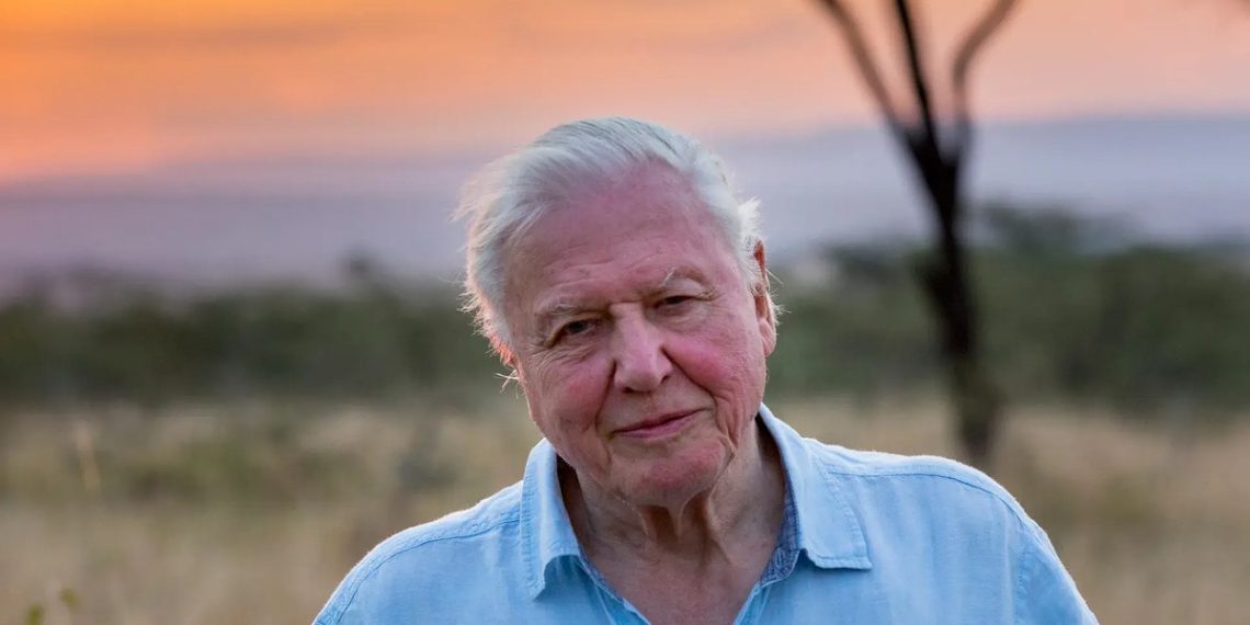 David Attenborough Simply Turned 99, These Are the 5 Life-style Habits He Shares With the World’s Longest-Residing Folks
