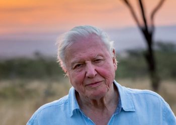 David Attenborough Simply Turned 99, These Are the 5 Life-style Habits He Shares With the World’s Longest-Residing Folks