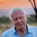 David Attenborough Simply Turned 99, These Are the 5 Life-style Habits He Shares With the World’s Longest-Residing Folks