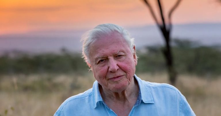 David Attenborough Simply Turned 99, These Are the 5 Life-style Habits He Shares With the World’s Longest-Residing Folks