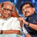 Sharad Pawar says Sanjay Raut that he mustn’t combine native politics with India’s world public relations work.
