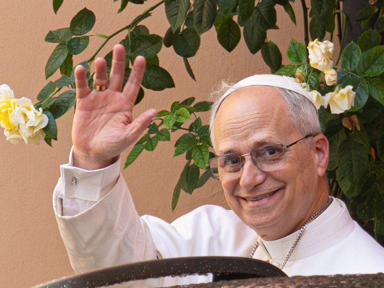 Pope Leo XIV follows Francisco and can strengthen the battle in opposition to air pollution and protection of the climate, particularly within the Amazona