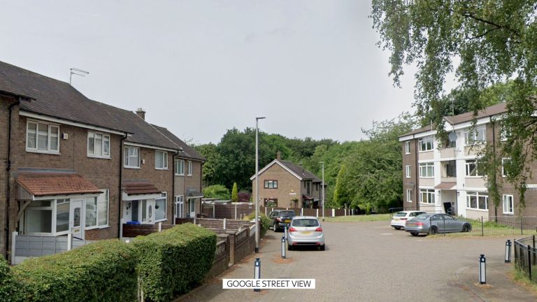 Toddler suffers ‘critical’ and ‘life-threatening’ accidents in Manchester canine assault | UK Information