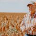 Sorghum rises as sustainable, high-protein heritage grain in American agriculture