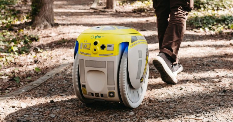 The Star Wars freight robotic follows folks and wears their objects