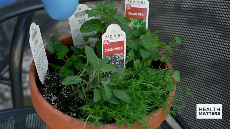 Well being Issues With TSET: Gardening for psychological well being