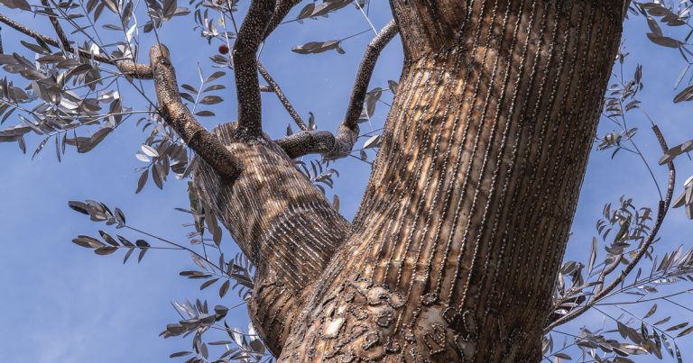 Reflective metal sculpture comes out of the tree falling after the Hanoi gauze