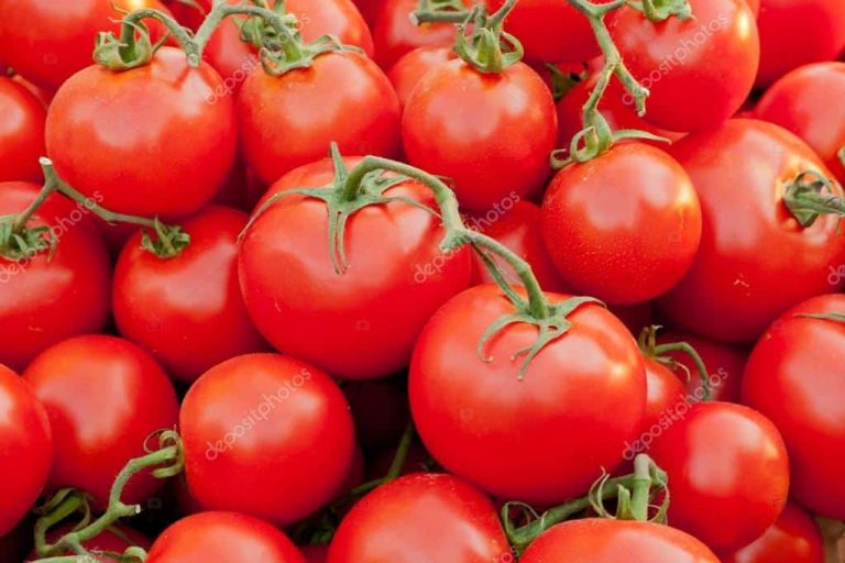 Salmonella Contamination Forces Tomatoes Recall