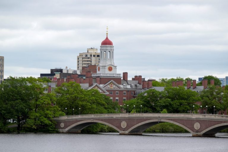 What Trump’s authorized and political battle with Harvard means for college schooling